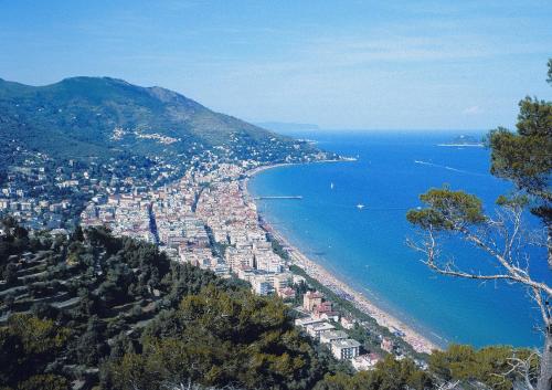 Hotel Danio Lungomare - image 3