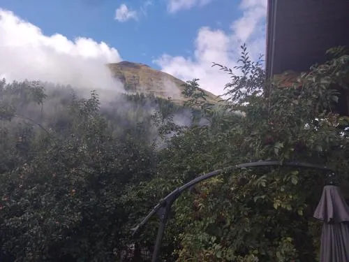 Gästehaus Kerber in Steeg, Österreich