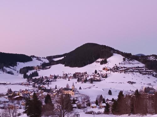 Appartement au cœur des sapins in Correncon-En-Vercors