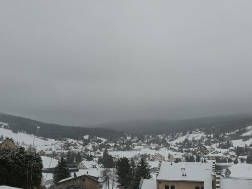 Appartement au cœur des sapins in Correncon-En-Vercors