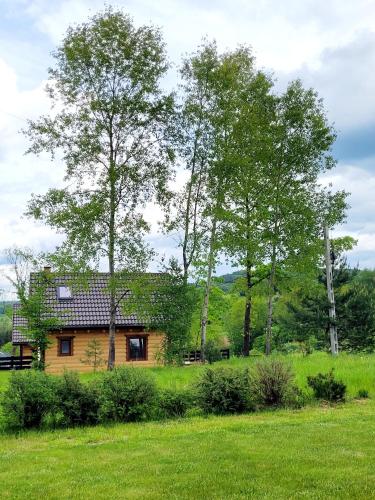 Domki u Kominiarza in Lukowe