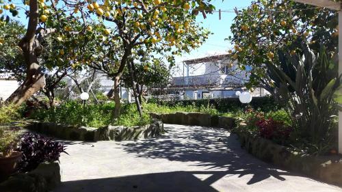 Villa image 3