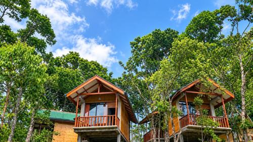 Saffron Eco Cottage