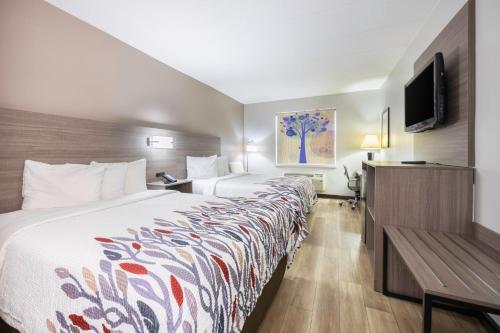 2 queen beds
