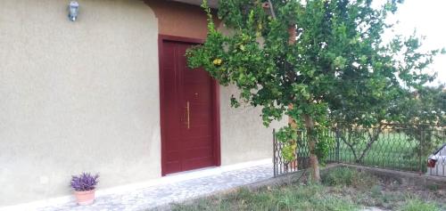 Зовнішній вигляд готелю, Lemon Flowers in Melizzano