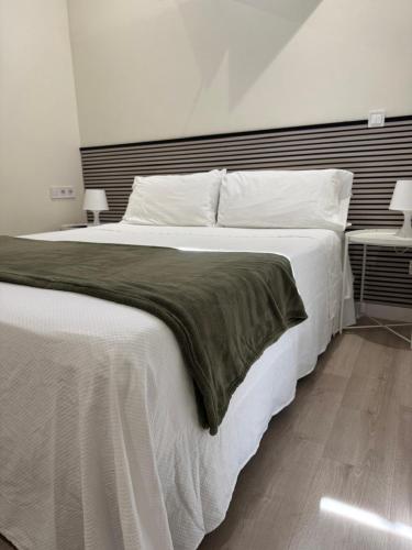 HABITACION CENTRAL CON WIFI 3