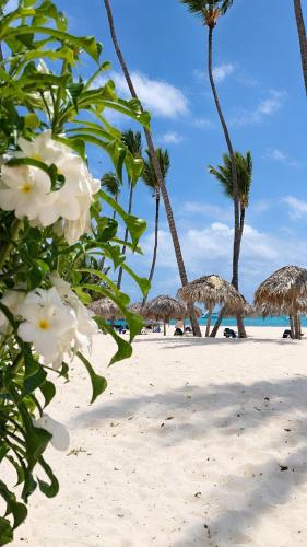 Palapa Tropic Beach Punta Cana