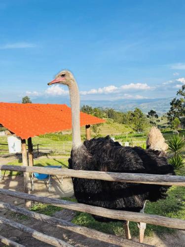Hosteria Chaskalicos in Guaillabamba