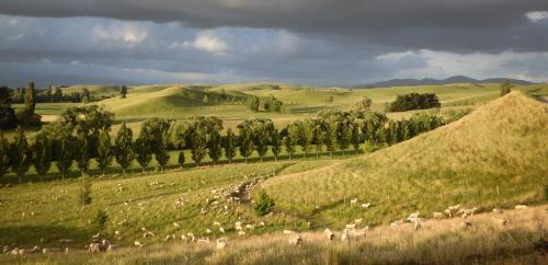 Tree House Lodge Bed & Breakfast Tree House Lodge Bed & Breakfast