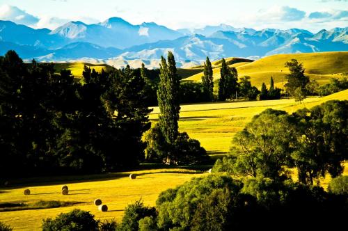 Tree House Lodge Bed & Breakfast Tree House Lodge Bed & Breakfast