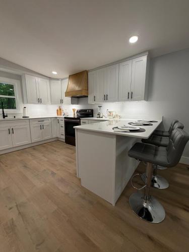 Modern 3BD Retreat near Asheville Airport in 米斯河(NC)