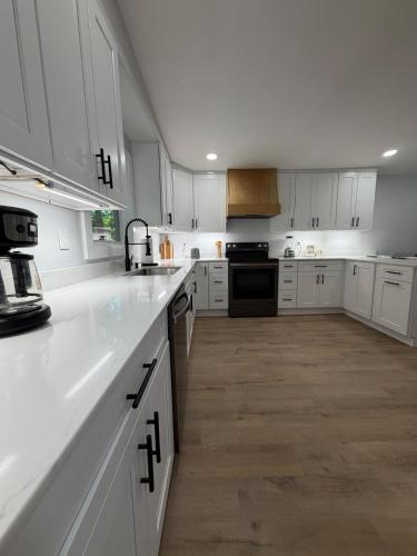Modern 3BD Retreat near Asheville Airport in 米斯河(NC)