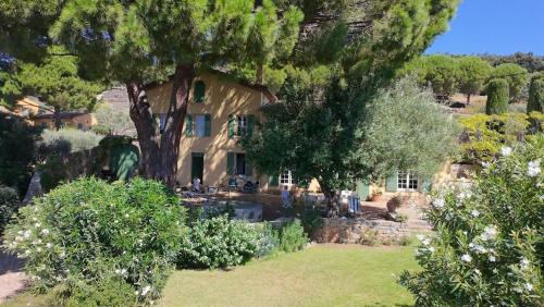 Grande maison Provençale, vue mer magnifique , piscine, jardin d'oliviers - climatisation été 2027 - Location saisonnière - Ollioules