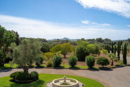 Villa Avrelia Spacious 4-bedroom country house with private saltwater pool, gym, large private garde in Algaida
