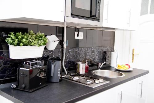 Somogyi Apartman, Budapešť (fotografie 4)