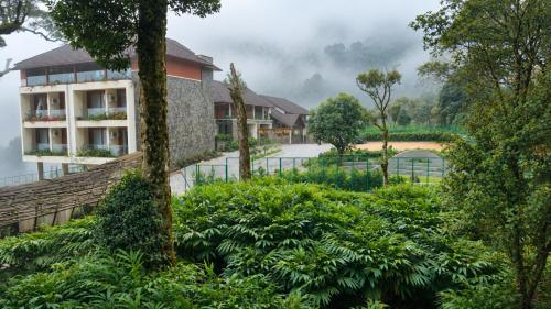Olive Woods - Munnar