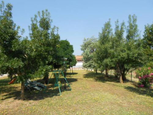 Agriturismo da Remo - image 14