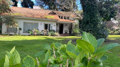 Cálida casa con naturaleza en bosque pinamarense