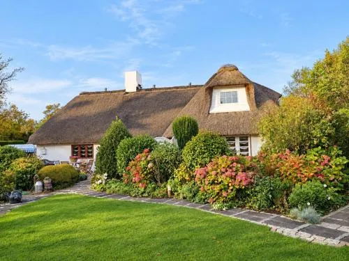 Dünenrose in Westerland, Deutschland