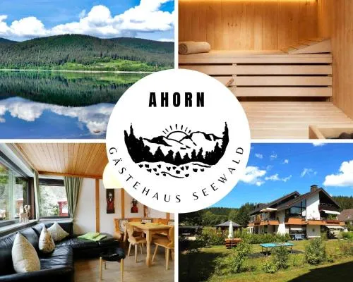 Gästehaus Seewald- Ferienwohnung 1 "Ahorn", Schluchsee, Blasiwald in Schluchsee, Deutschland