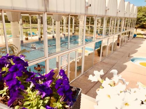 수영장, 스위트 시저 네옷 골프 (Suite Caesar - Neot Golf) in 카이사리아