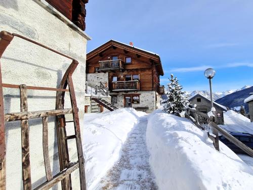 Chalet Selva 1
