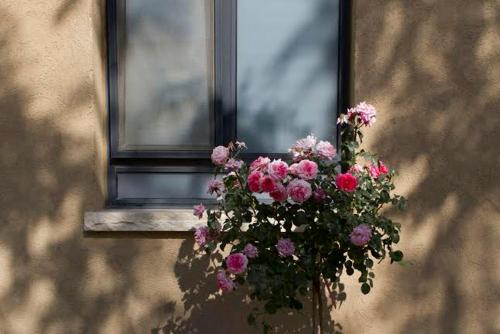 Zimmer you dreamed of in Rotem