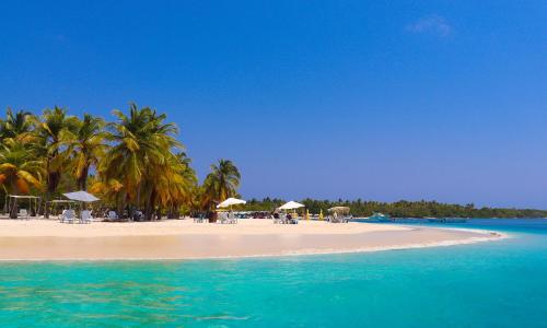 주변 환경, Hesperia Morrocoy in 보카 데 아로아