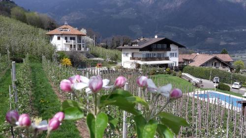 Pension Chalet, Pension in Marling