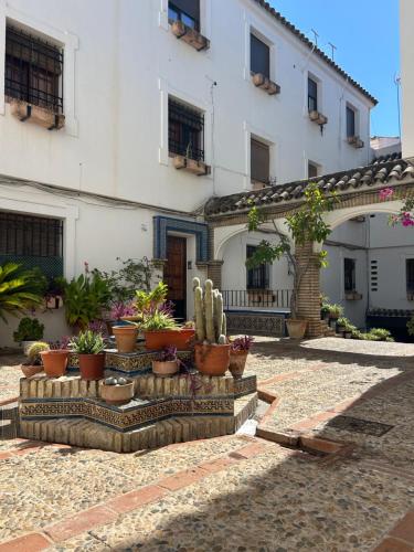 El Patio De La Aljama