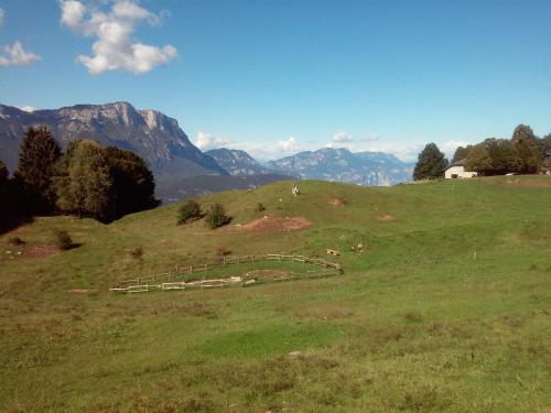 B&B Trento Nord 3