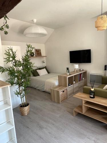 Spacious & Quiet Studio - 50 m from Metz Cathedral
