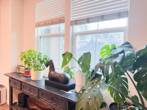 Cozy Blue Haven Bright & Peaceful Room in Chino Hills (CA)