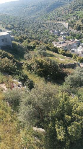 راوبي عجلون in Ajloun