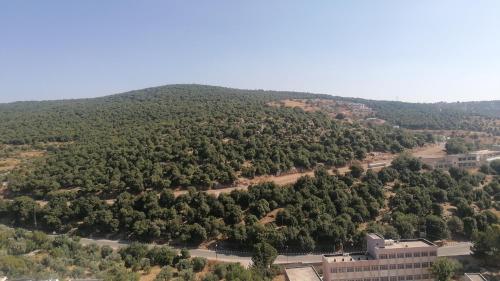 راوبي عجلون in Ajloun
