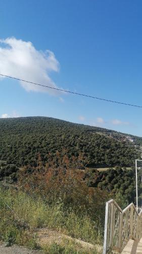 راوبي عجلون in Ajloun
