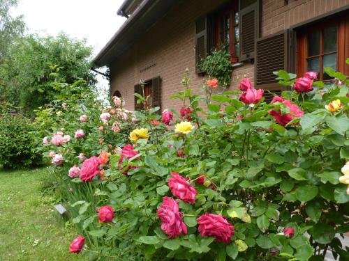  B&B The Roses Garden in Millesimo