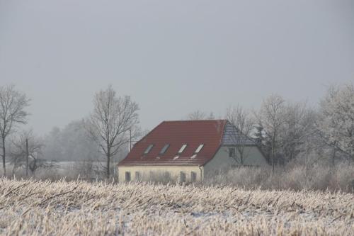 Land & Meer - image 5