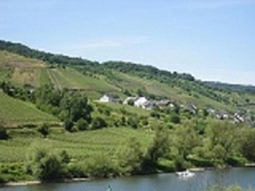 Apkārtne, Zwei Ferienwohnungen "Im Weingarten " in Burg (Mosel)