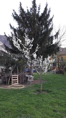 B&B Sun Garden