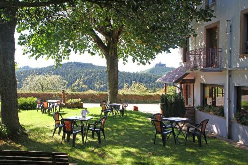 Logis Hotel Les Vosges - image 13