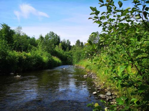 Escape in the heart of Miller Zoo - Sheira Shack in Frampton (QC)