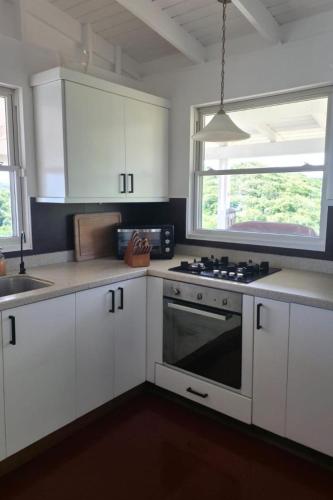 Luxury Grenada Villa Sea Views & Private Deck apts in Grand Anse