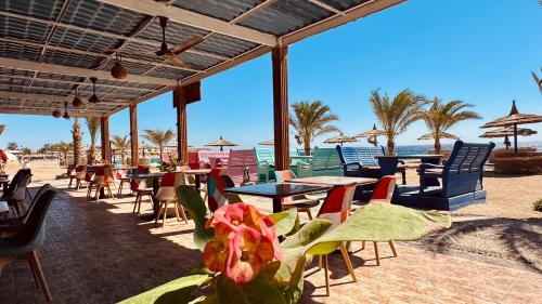 Coral Sun Beach in Safaga