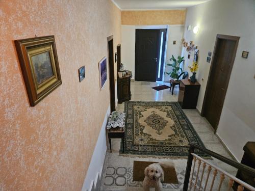 HouseMary in Олівето Сітра