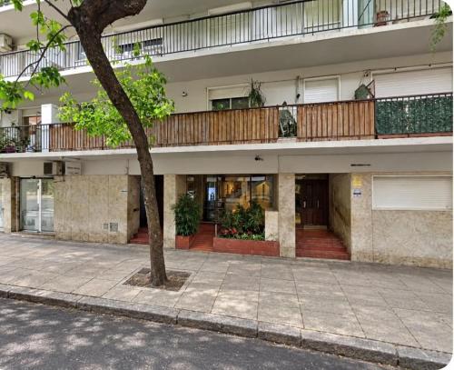 Diseño, luz y confort en Belgrano | Organic Modern