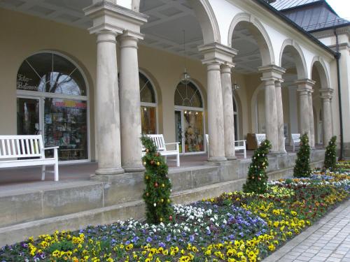 บริการและสิ่งอำนวยความสะดวก, Hotel Promenade in บัด ชเตเบิน