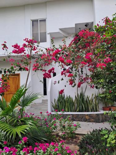 Bahía Garden