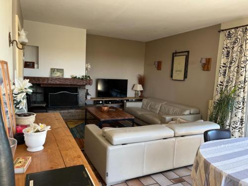 Spacious Villa Retreat in Carcassonne