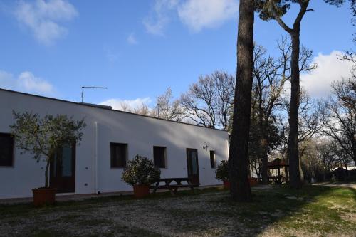 Villaggio Camping Bosco Selva - image 3